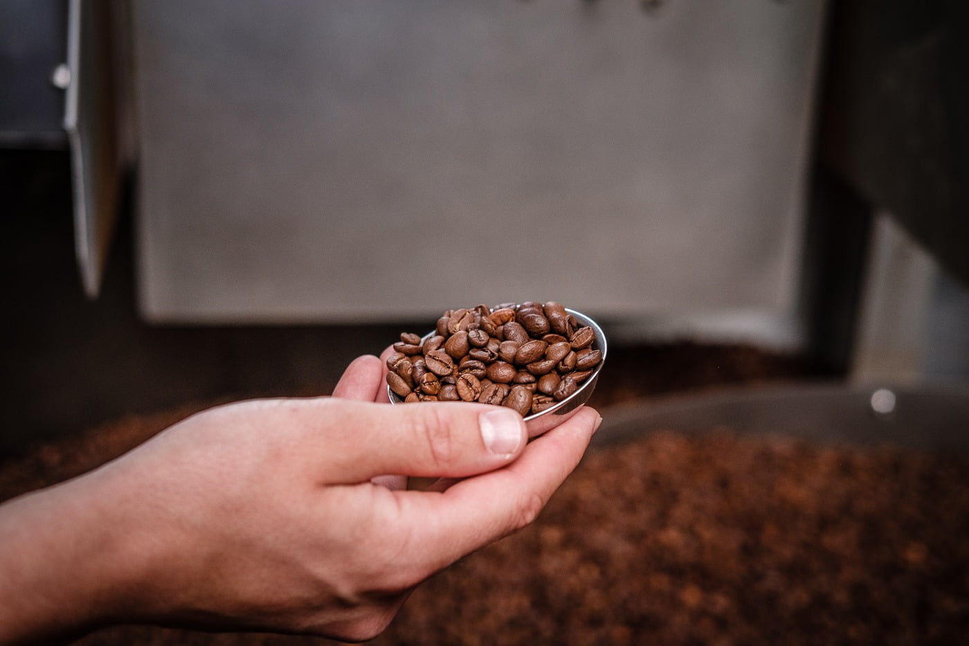 Hoelang kan je koffiebonen bewaren?